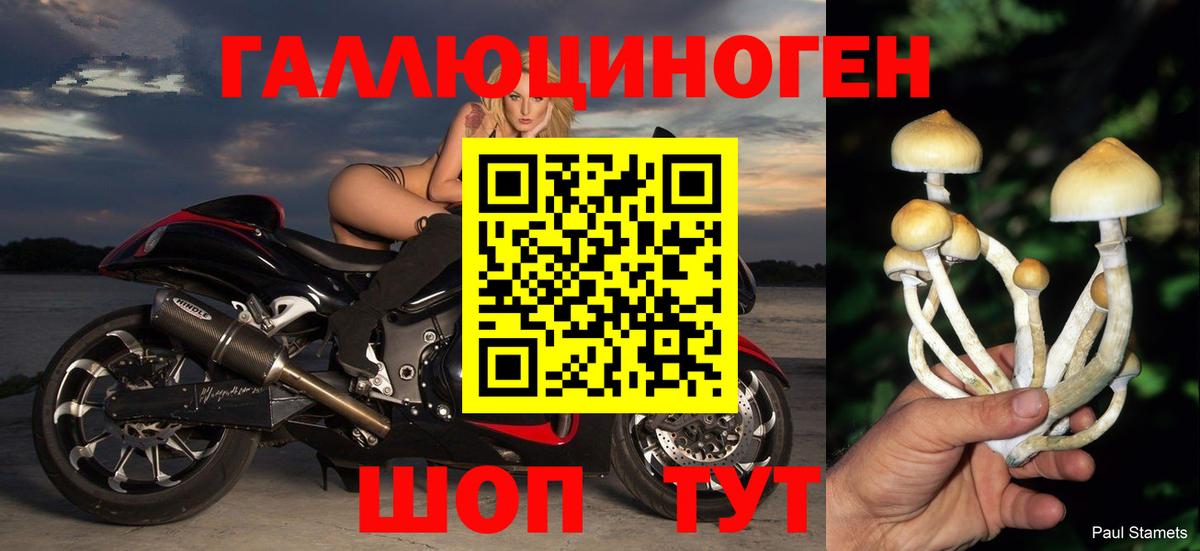 Псилоцибиновые грибы мухоморы  сколько стоит  Воскресенск  Вход с VPN 
